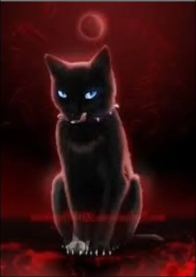 Étoile du Tigre s'est allié à Fléau, le chef du Clan du Respect.