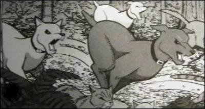 La meute de chiens a tué Nuage Agile.