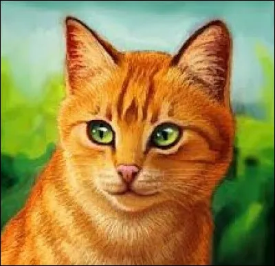 Quand Étoile de Feu était apprenti, il se nommait Nuage de Braise.