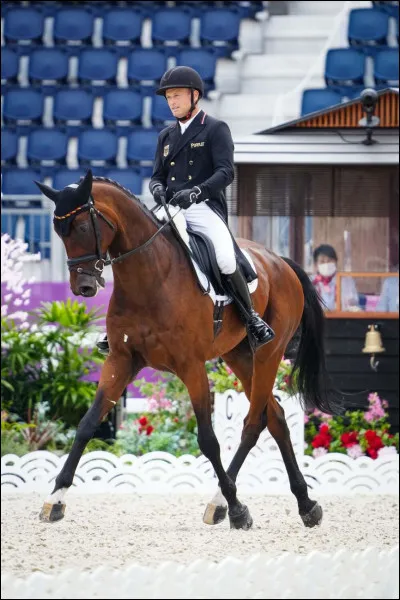 Quelle est cette figure ?