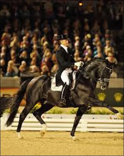 Quel est l’un des chevaux les plus connus dans le dressage ?