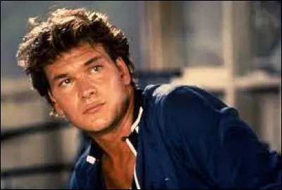 Qui interprète le rôle de Johnny ?