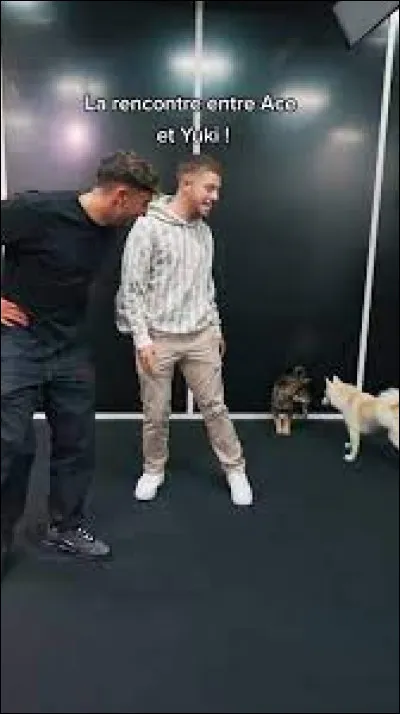 À qui appartient-il ?