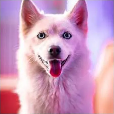 Comment s'appelle-t-elle ?