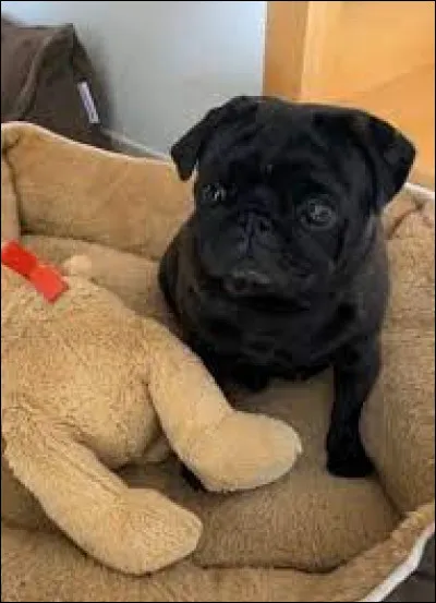 Comment s'appelle-t-elle ?