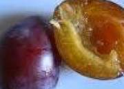 Quiz Fruits en anglais et en images