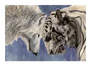 Test Es-tu un tigre ou un loup ?