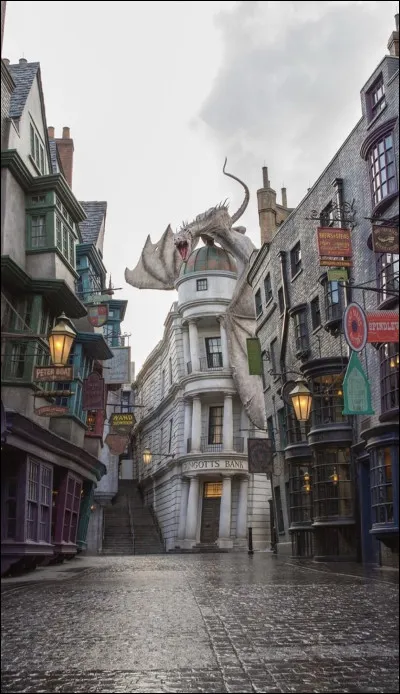 Tu es au Chemin de Traverse, vers quelle boutique vas-tu ?