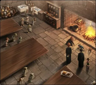 Après une longue journée de cours tu vas dans la cuisine et tu demandes aux elfes...