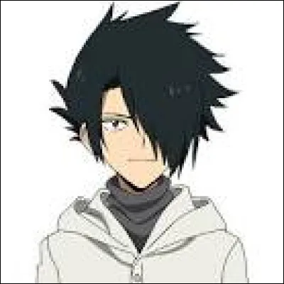 Dans quel manga ce personnage existe-t-il ?