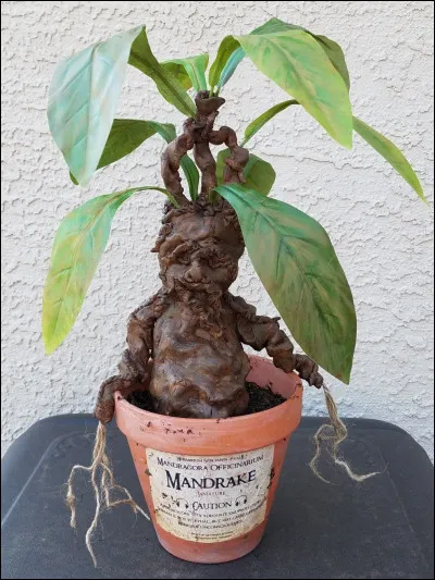 Comment se nomme cette créature magique ?