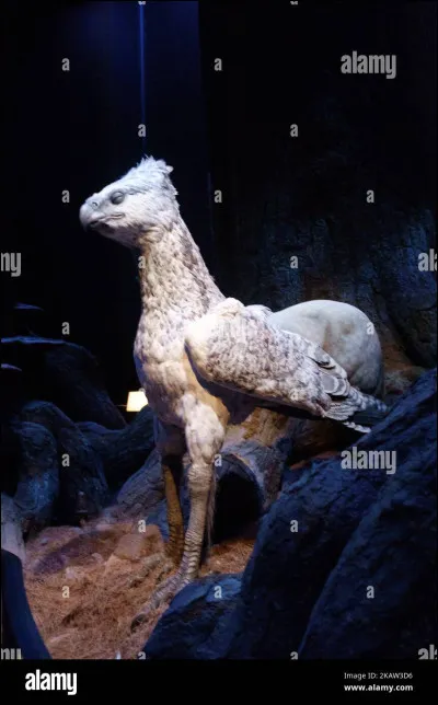 Et pour la dernière question, combien de temps met un œuf d'hippogriffe à éclore ?