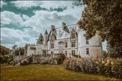 Quel château est surnommé "Le Château du Chat Botté" ?