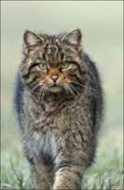 Si tu dois prendre une décision aujourd'hui, tu...