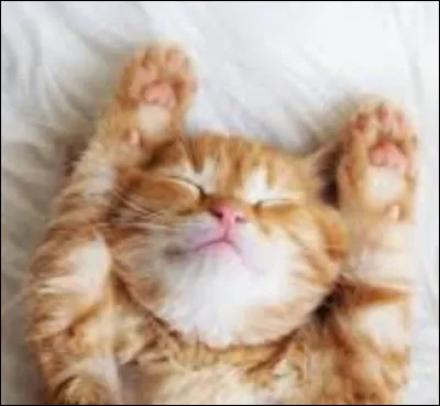 D'après toi, quel sera le résultat du test ?