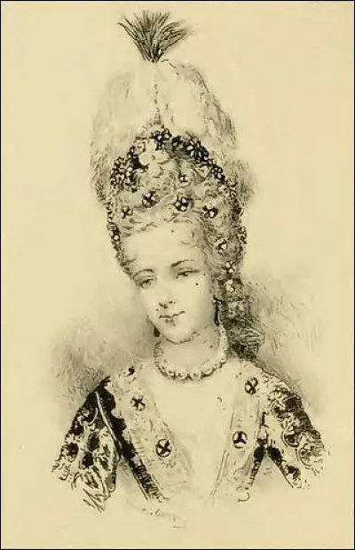 Vrai ou faux ? Fran&ccedil;oise Raisin a &eacute;t&eacute; la ma&icirc;tresse du dauphin de France Louis de Bourbon.