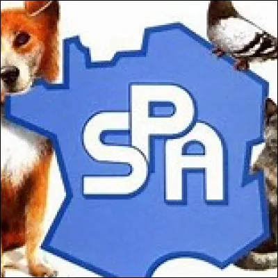 Que signifie SPA ?