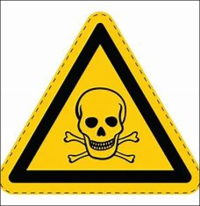 Quel aliment est très dangereux pour les chiens ?
(À part le chocolat, sinon c'est trop facile)