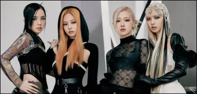 Tu ressembles plus à...