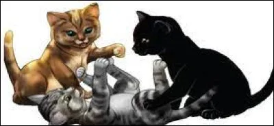 A-t-elle eu des chatons et si oui, combien ?