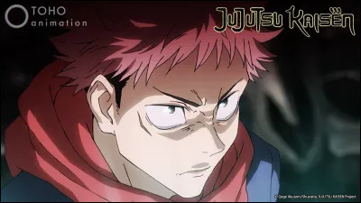 Quel personnage est dans Jujutsu Kaisen ?