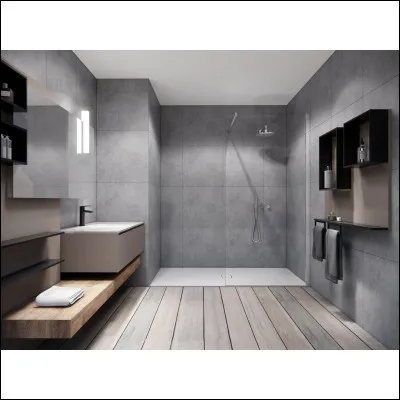 Comment appelle-t-on ce type de douche ouverte dont le receveur est au même niveau que le sol ?