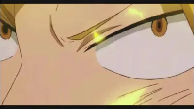 À qui appartient cet il ?