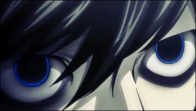 À qui appartient cet il ?