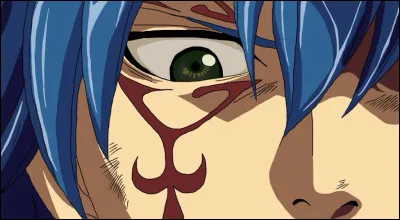 À qui appartient cet il ?