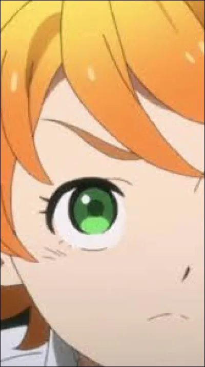 À qui appartient cet il ?