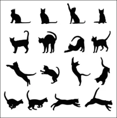 Vous avez grandi et atteint l'âge d'être apprenti ! Félicitations ! Votre mentor vous propose plusieurs activités mais vous ne pouvez en choisir qu'une ! Leçon du combat ? Surveillance des frontières ? Soutien des anciens ou l'apprentissage des bonnes positions de chasse ?
Que choisissez-vous ?