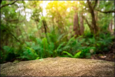 L'assemblée des clans aux Quatre Chênes est ce soir et vous y êtes invité ; selon vous, où iriez-vous vous installer ?