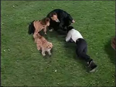 Dans "Un monde parfait" comment s'appelle le chien qui accompagne nos héros ?