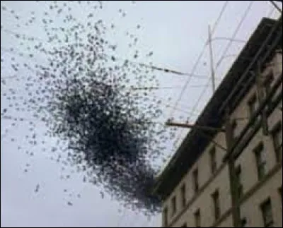 D'où proviennent les effrayantes guêpes-araignées ?