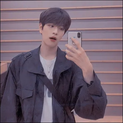 Quelle est sa couleur préférée ?