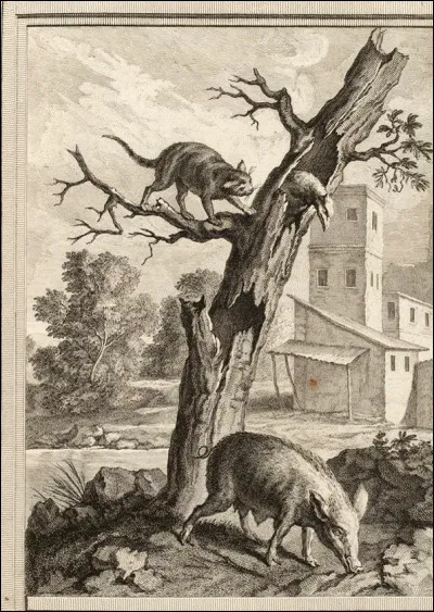 Comment s'appelle cette fable ?