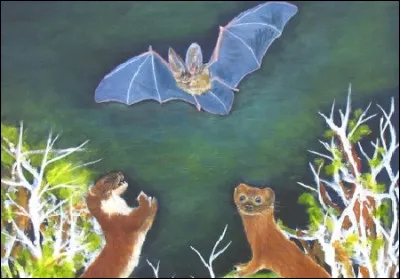 De quelle fable s'agit-il ?