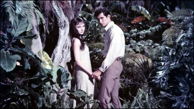 Comment se nomme ce film ?