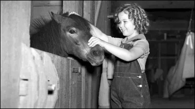 Comment s'appelle ce film ?