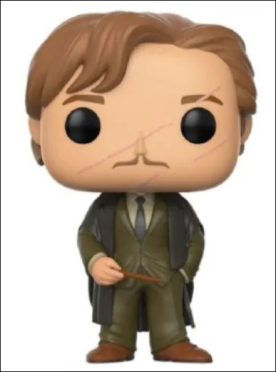 Quel est ce personnage dans l'univers "Harry Potter" ?