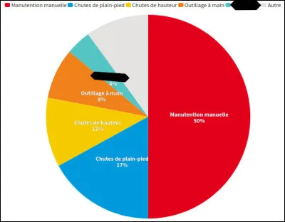 Sur ce schéma, les circonstances desdits accidents sont détaillés. Pour 4 % d'entre eux (en turquoise), ils seraient dus ... (Complétez !)