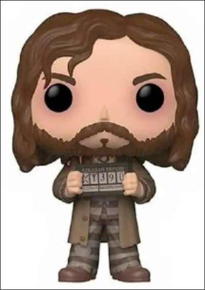 Quel est ce personnage dans l'univers "Harry Potter" ?