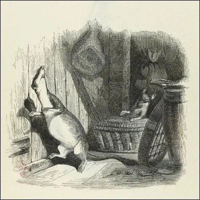 De quelle fable s'agit-il ?