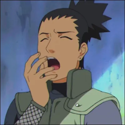 Que signifie Nara, le nom du clan de Shikamaru ?