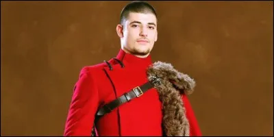 Dans quel film/quelle série y a-t-il Victor Krum ?