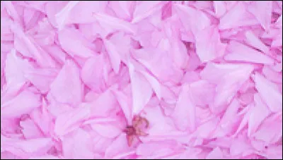 Quelle est cette couleur ?