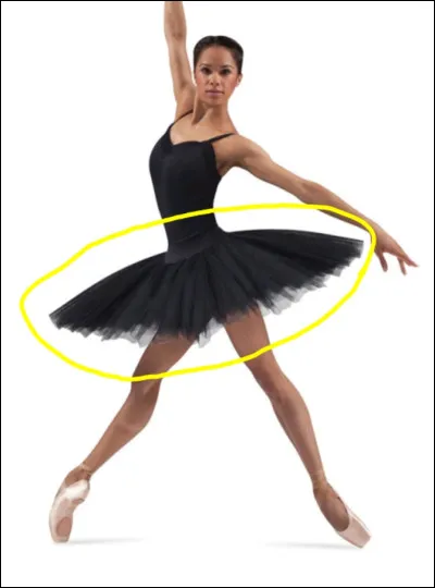 Quel est ce vêtement de danse ?