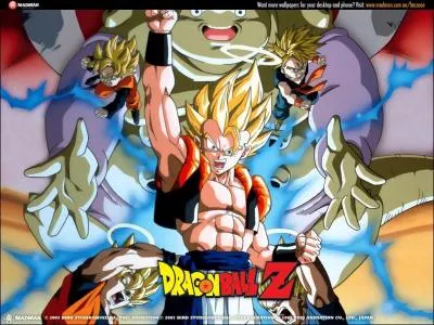 Son pouvoir est celui :