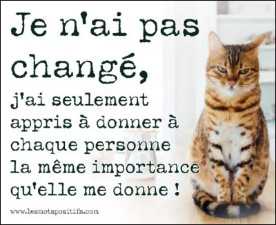 Qui est le chanteur du titre "Je n'ai pas changé" ?