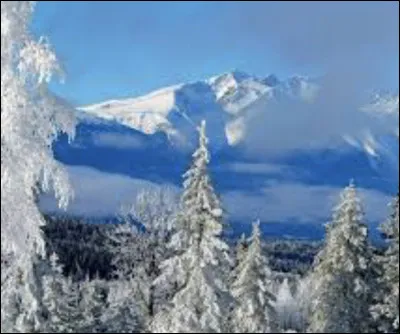 Quelle est cette saison ?